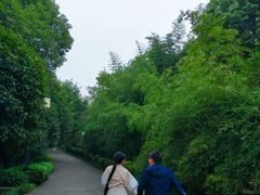 -大渡口区义渡公园