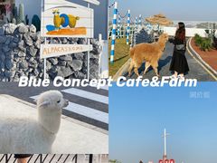 -Blue Concept Cafe&Farm·關於藍