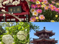 -大慈恩寺(大雁塔)