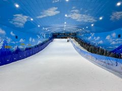 -世界之窗阿尔卑斯冰雪世界
