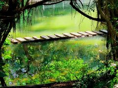 -燕晗山郊野公园