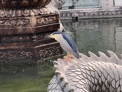 -崇圣寺三塔文化旅游区