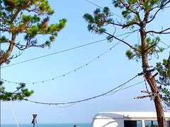 -日照海滨国家森林公园