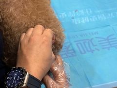 -美迦爱-牙专科·兔科·骨科诊疗中心(北苑店)
