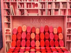 -Dior迪奥(上海世茂广场店)