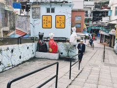 -猫咪博物馆(顶澳仔猫街店)