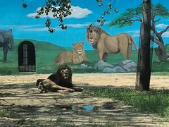 -秦皇岛野生动物园