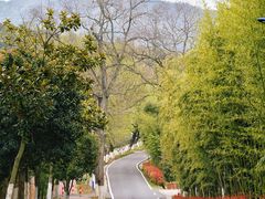 -莫干山风景区