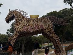 -杭州开元森泊度假乐园