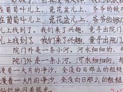-赵汝飞练字硬笔书法(静安大融城校区)