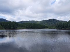 -海南热带雨林国家公园吊罗山景区