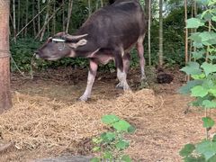 -茅山东方盐湖城景区