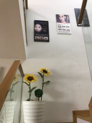 -谜秀韩式半永久纹眉纹绣洗眉