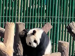 -沈阳森林动物园
