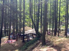 -山王坪喀斯特国家生态公园