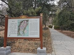 -香山公园