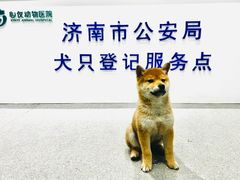 -心仪动物医院·牙专科·肿瘤·心脏科(西客站院)