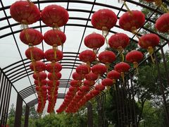 -鹅湖玫瑰文化园