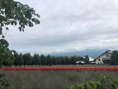 -富田农场
