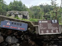 -都江堰中华大熊猫苑