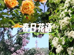 -青岛海滨风景区