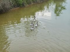-深圳大学(丽湖校区)