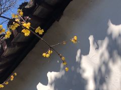 -沧浪亭