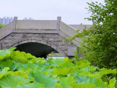 -高子水居