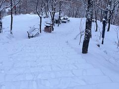 -大伊山景区