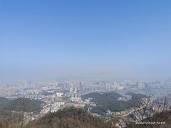 -坛宗剁椒鱼头(河西王府井店)