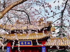 -桃花堤公园