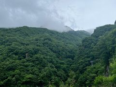 -牛背梁国家森林公园