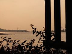 -深圳湾公园(南山区)