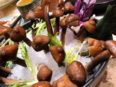 黑皮鸡枞菌-润泽园椰子鸡(汇一城店)