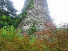 -四明山国家森林公园