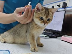-宠颐生宠物医院·心肾内科·猫专科诊疗中心宠巢店
