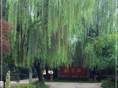 -户县老龙窝酒厂