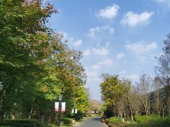 -茅山东方盐湖城景区