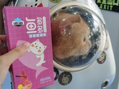 -博特宠物医院24h犬猫全科.骨科·异宠