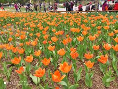 -长春公园(普阳街道)