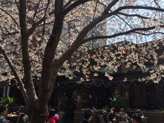 -玛格萝妮比萨屋(四平店)