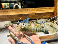 -枫伝料理居酒屋