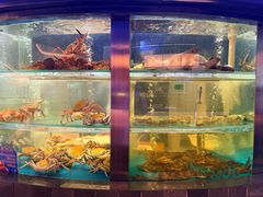 -1718海鲜姿造(苏宁宴请臻选店)