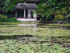 -杭州植物园