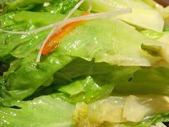 白灼罗马生菜-悦融琥珀·京鲁菜·海味珍品(西单店)