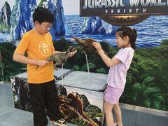 -TOYSRUS玩具反斗城(上海万象城店)