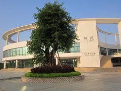 -顺德职业技术大学