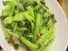 鲜香菇上海青-聚鑫阁江浙菜·非遗传承技艺(青村帝华园店)