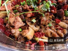 -食神又名厕所兔