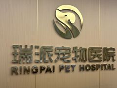 -瑞派康怡24h宠物医院·犬猫医疗中心·微创绝育(瑞景分院)